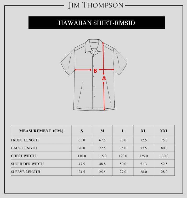 Hawaii Shirt 16.jpg