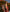 Image Grid 