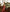 Image Grid 