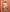 Image Grid 