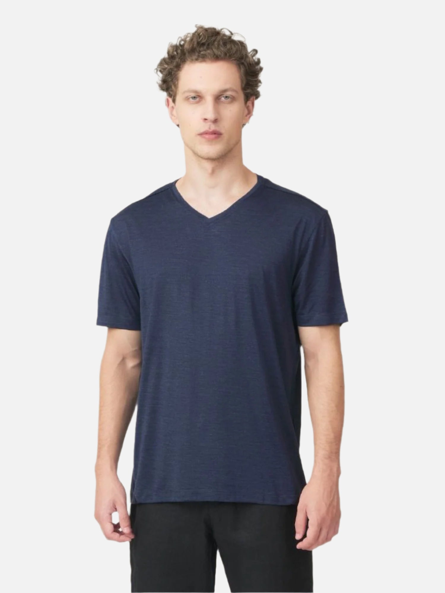 Pure Silk V Neck T-Shirt | Jim Thompson